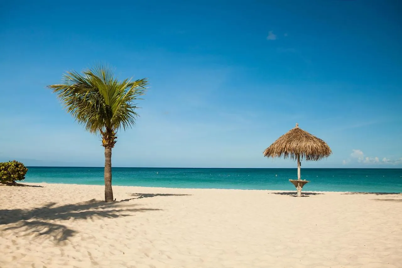 Lejlighed Feel At Home In This Perfect 2 Bdr With The View Palm Beach Aruba